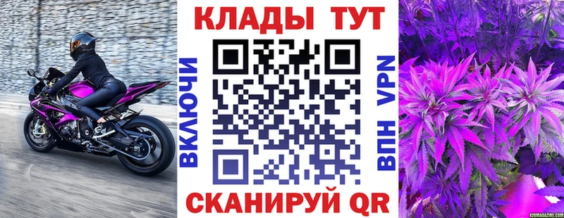 Виды наркоты Новая Ладога Гашиш  Кокаин  Амфетамин  Alpha PVP  Марихуана  МЕФ 