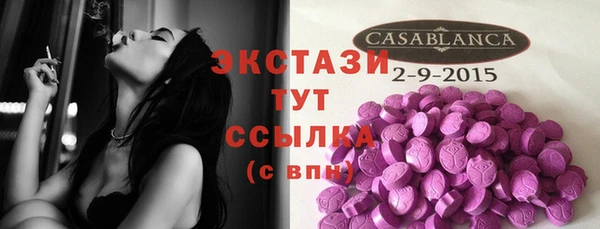 СК Алексин