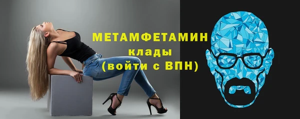 сатива Ростов