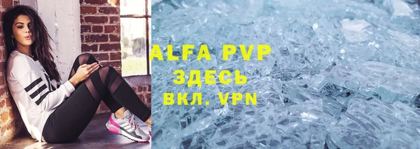 СК Алексин