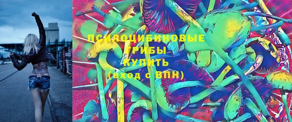 СК Алексин