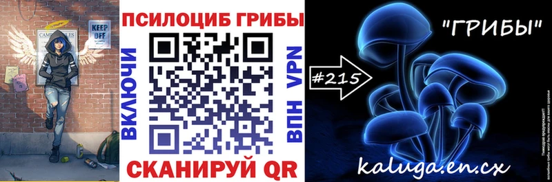 мега ONION  это телеграм  Псилоцибиновые грибы MAGIC MUSHROOMS  Новая Ладога 